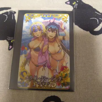 Fate/Grand Order [ ] : 화이트 크루징