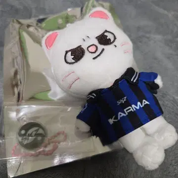 Straykids skzoover 지니레트 현진