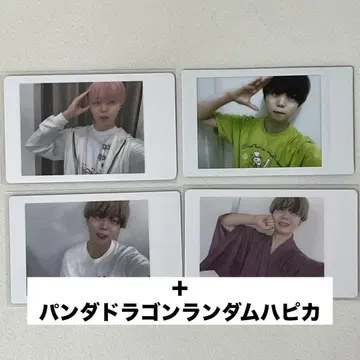 팬더드래곤 아즈 하피카 폴라로이드 4장 세트