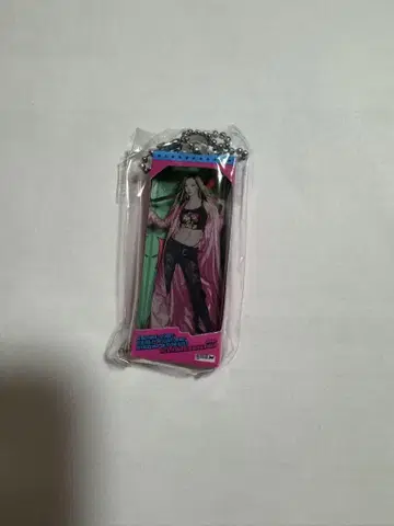 aespa 아크릴 키링 윈터 한국 팝업 리치맨