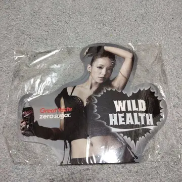 아무로 나미에 WILD HEALTH 팝