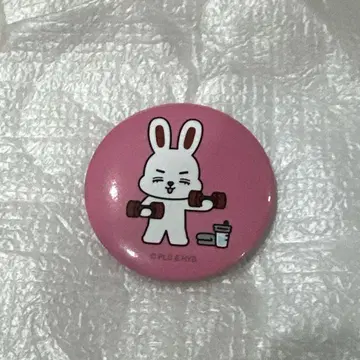 MINITEEN 에스쿱스 캔뱃지