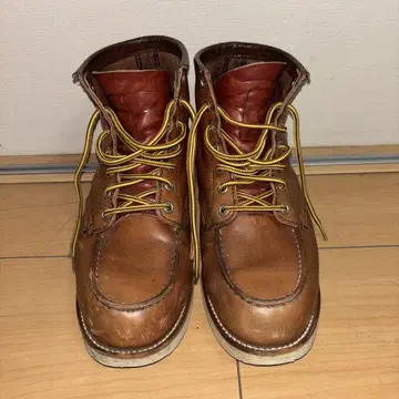 REDWING 8131 아이리쉬 세터