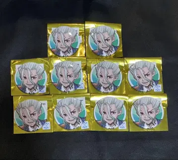 amocafe 아모카페 Dr.stone 캔뱃지 이시가미 센쿠 10개
