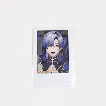 니지산지 가요제 밀라노 폴라로이드
