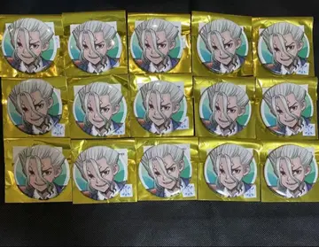 amocafe 아모카페 Dr.stone 캔뱃지 이시가미 센쿠 15개