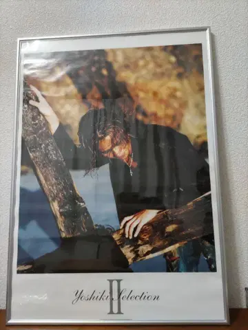 Yoshiki Selection II 포스터 프레임 포함