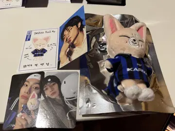 StrayKids KARMA skzoo