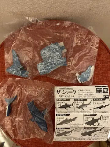 더 샤크 가챠가챠 진베이 상어 귀상어 상어
