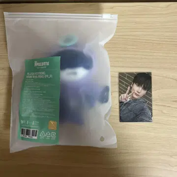 TXT PPULBATU 팝업 봉제 인형 키링 트레이딩 카드