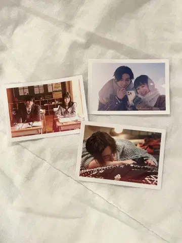 옆집 스텔라 입장객 혜택