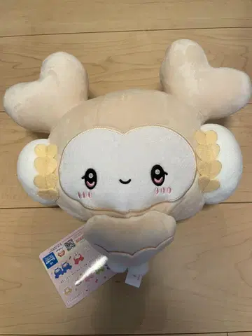 TWICE LOVERYS 다현 포켓 BIG 봉제 인형 산리오