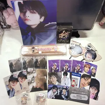 Stray Kids 아이엔 굿즈 세트