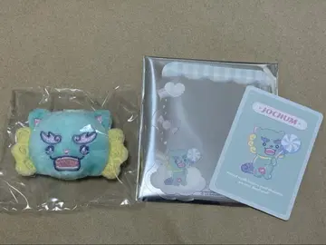 제오참 JOCHUM 야누카미 경질 카드 케이스 시크릿 브로치
