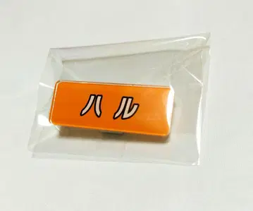 초특급 후지비지 스쿨 하루 트레이딩 명찰 배지