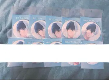 Free! 빅 캔뱃지 Bright 나나세 하루카 5세트