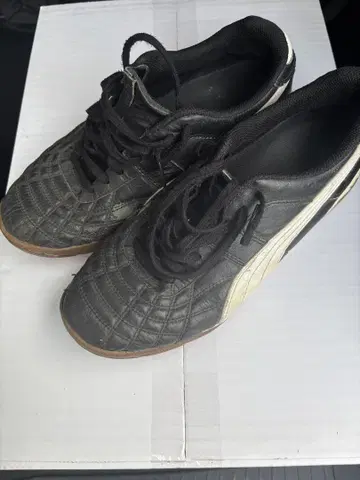Puma Mexico IT 풋살화 멕시코