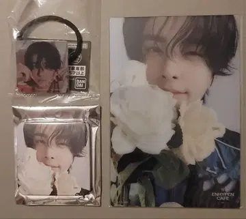 ENHYPEN CAFE 제이크 요이카페 JAKE 세트