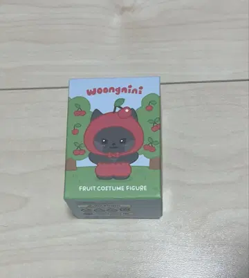 woongnini 후르츠 코스튬 피규어