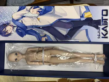 DD 돌피드림 KAITO 인형