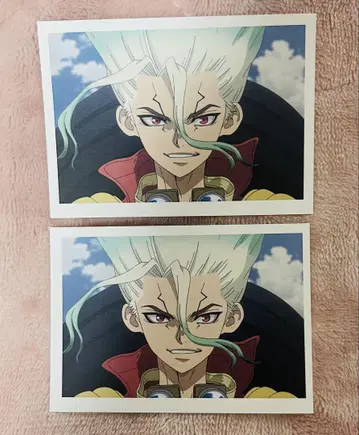 Dr.STONE AMOCAFE 순수다방 콜라보 카페 센쿠