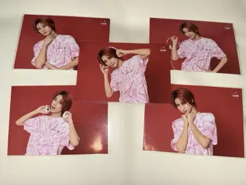 나카야마 세이타로 세가요나라 챙 남자 페스티벌 브로마이드 5장 세트