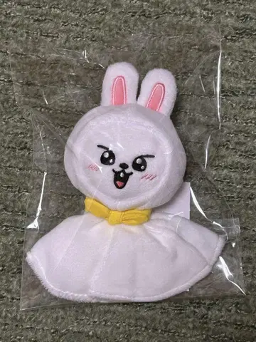 Stray Kids 리빗 백참