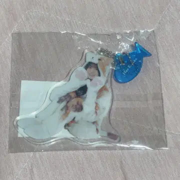 히나타자카46 코사카 나오 동물 인형옷 키링