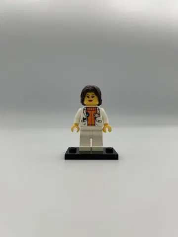LEGO (레고) 미니 피규어 정품 레어 북극 과학자