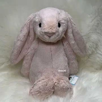 jellycat Bashful Blush Bunny 토끼 핑크 봉제 인형