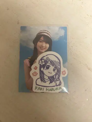전체 투어 카페 카키 하루카 스티커