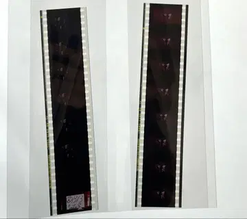 극장판 영화 엑스 X 생필름 시계 부품 2개 CLAMP
