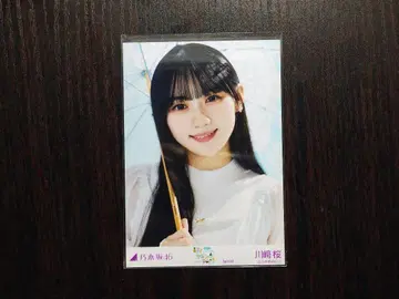 한여름 전국 투어 2025 Special 카와사키 벚꽃 요리