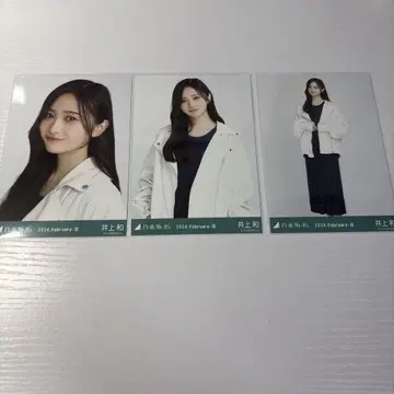 노기자카46 브로마이드 가죽 x 니트 원피스 이노우에 나기사 컴프