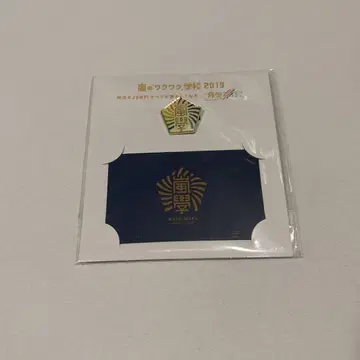 아라시의 와쿠와쿠 학교 2019 핀 배지