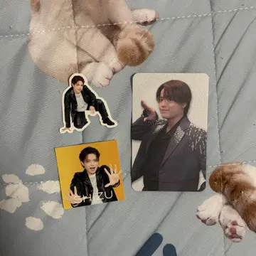 TravisJapan 홍콩 트레이딩 카드 스티커 요시자와 시즈야