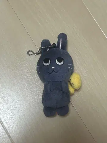 RIIZE 10cm 인형 원빈 공식