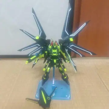 HG 라이징 프리덤 건담 (리서큘레이션 컬러 ver) 완성품