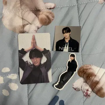 TravisJapan 홍콩 트레이딩 카드 스티커 카와시마 노에루