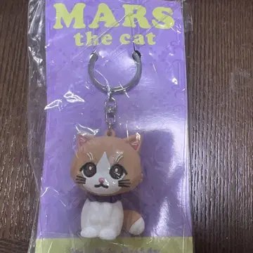 후지와라 이츠키 멘프로 MARS the cat 키링