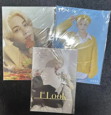 SEVENTEEN 세부치 정한 1st Look 잡지 클리어 포스터