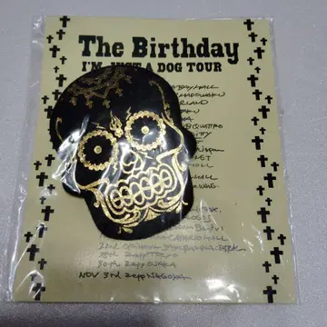 치바 유스케 THEBIRTHDAY 펠트 배지
