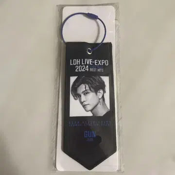 이와타 타카노리 LDH EXPO 미니 태피스트리