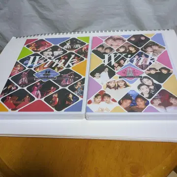 Wink Performance, Visual Memories DVD 4장