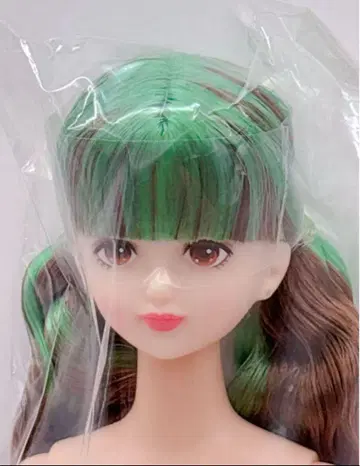 시온 즐거운 인형 제니 친구 리카짱 캐슬