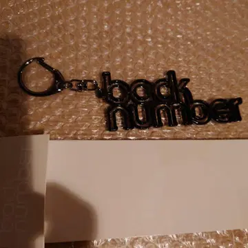 back number 키링