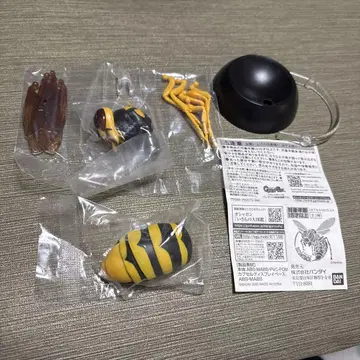 생물대도감 키이로말벌