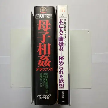관능 소설 (모자간 근친상간, 미망인과 이혼한 아내)
