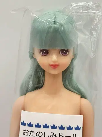 제니 프렌드 H 호시자와 나나코 오타노시미 인형 리카짱 캐슬 블루