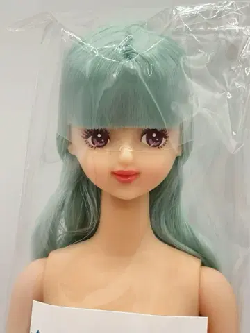 제니 프렌드 H 리카짱 캐슬 오타노시미 인형 스카이블루 제니 프렌드